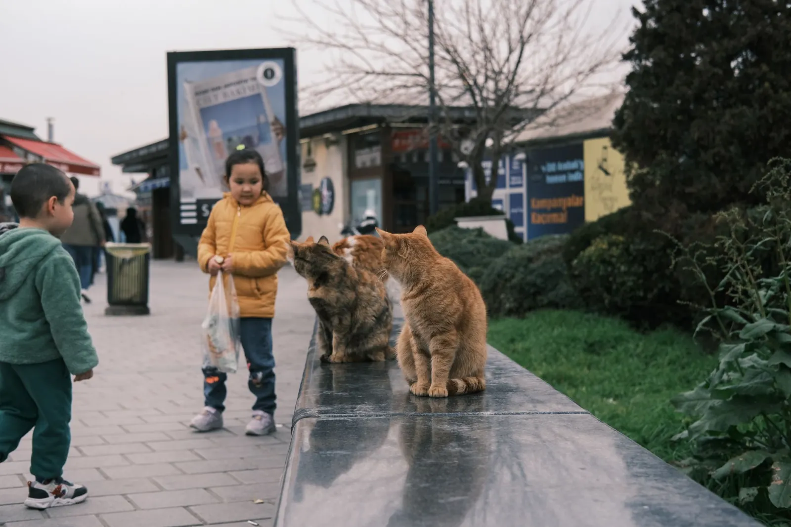 chat et enfant