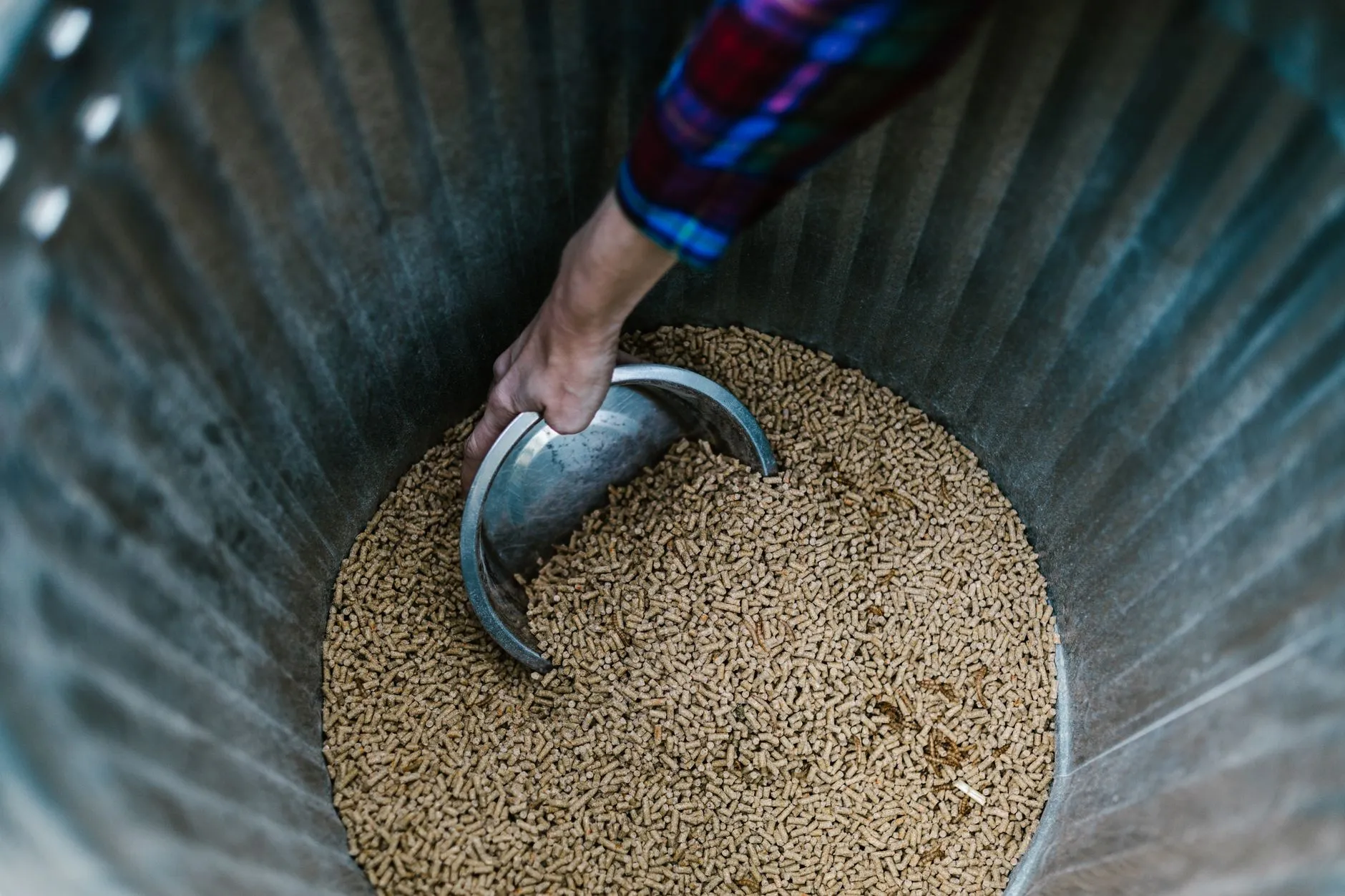 litière pour chat en pellets de bois