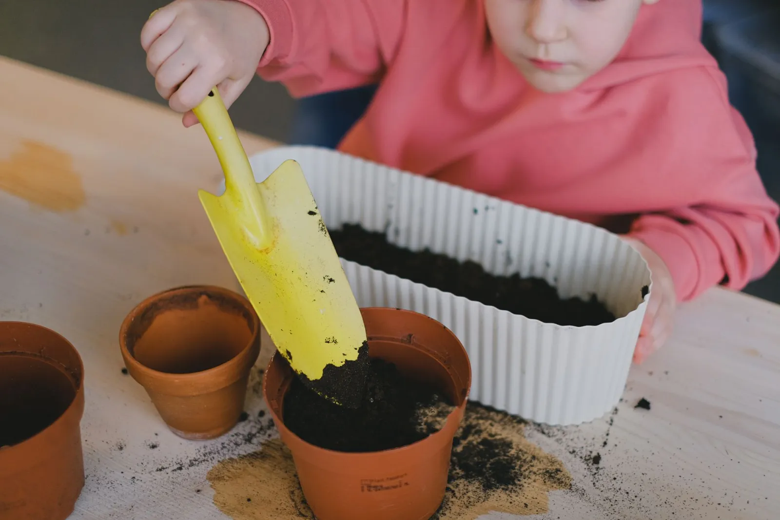 Quelles plantes choisir quand on débute ?