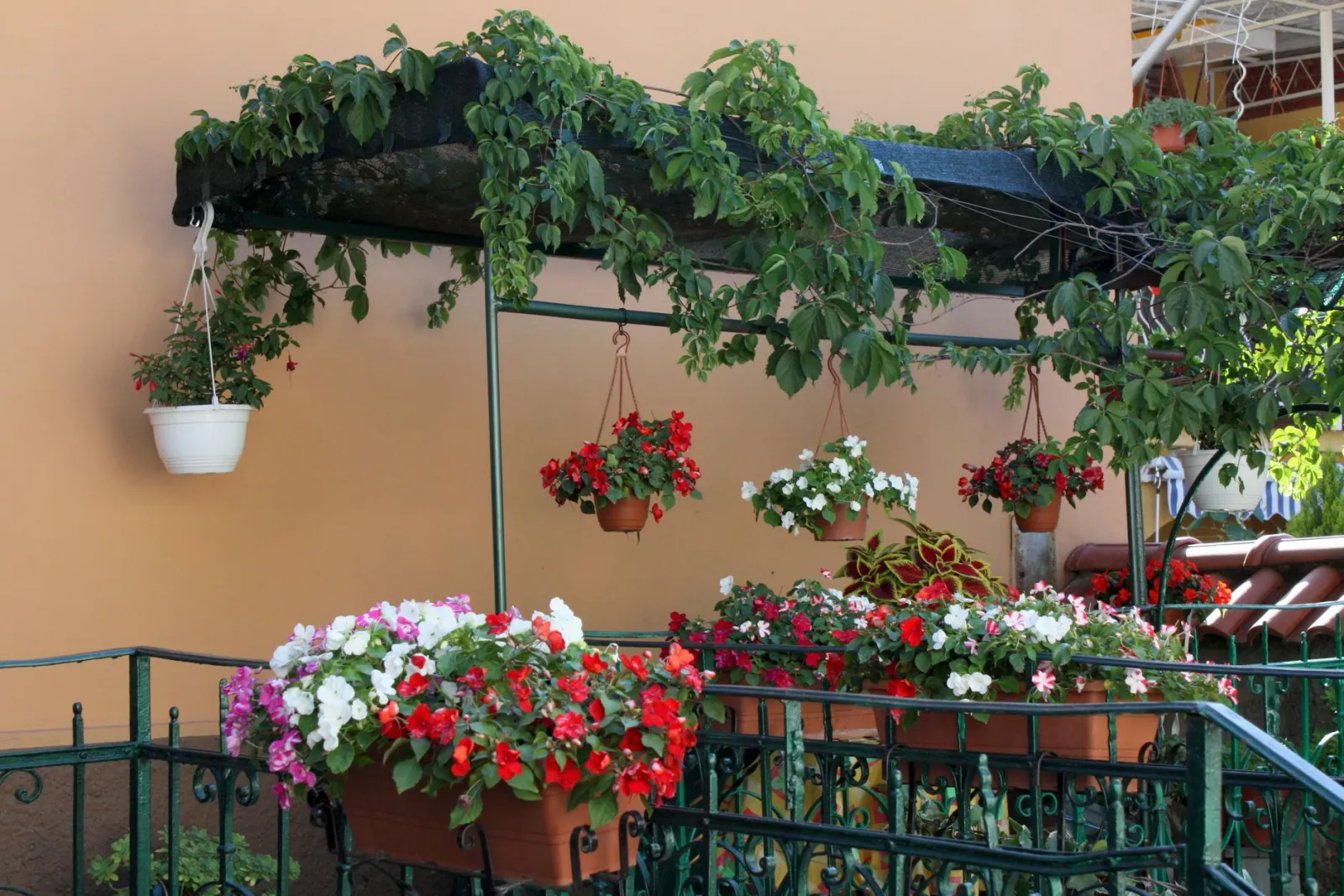 arrosage goutte à goutte sur balcon