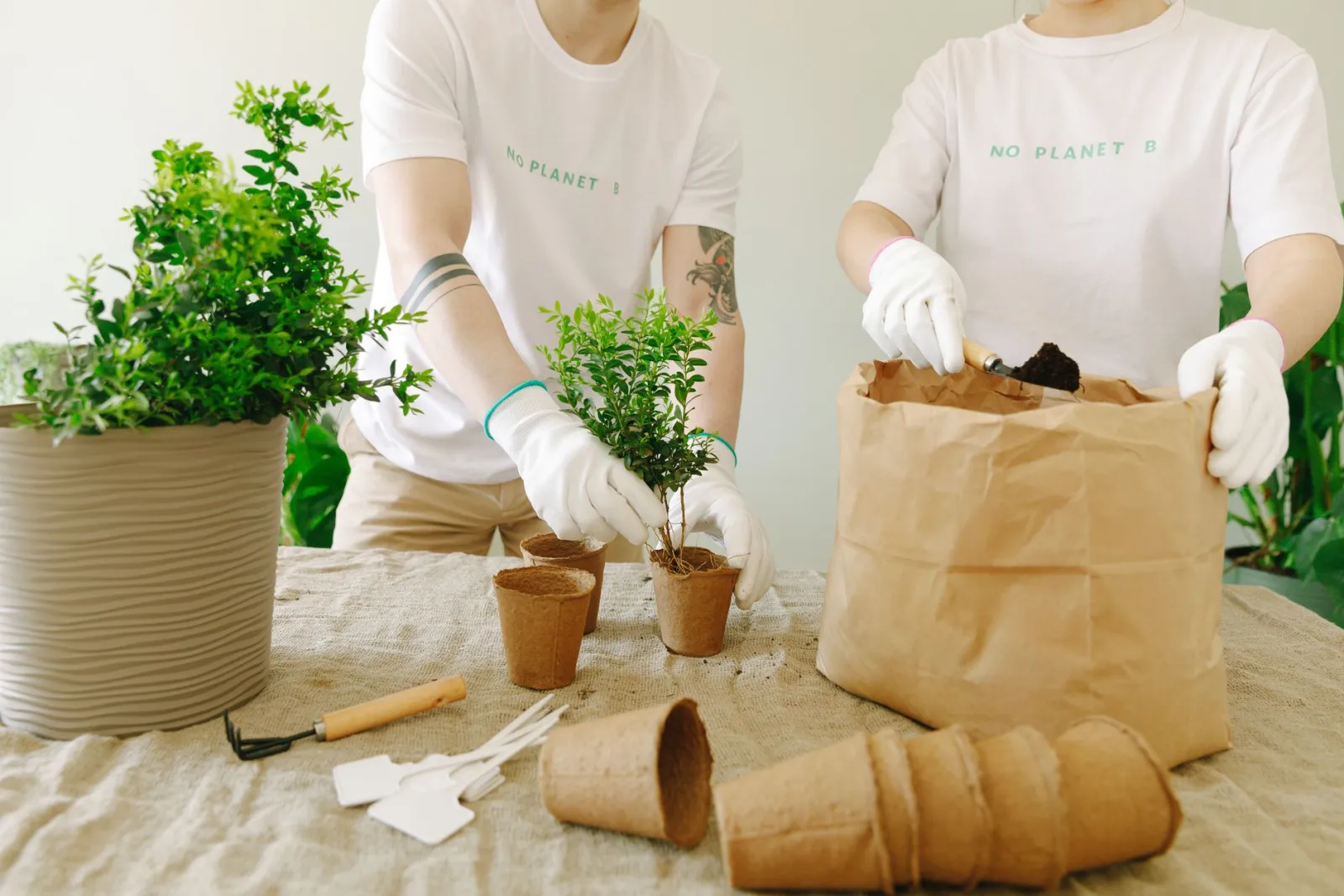litière biodégradable pour chat compost