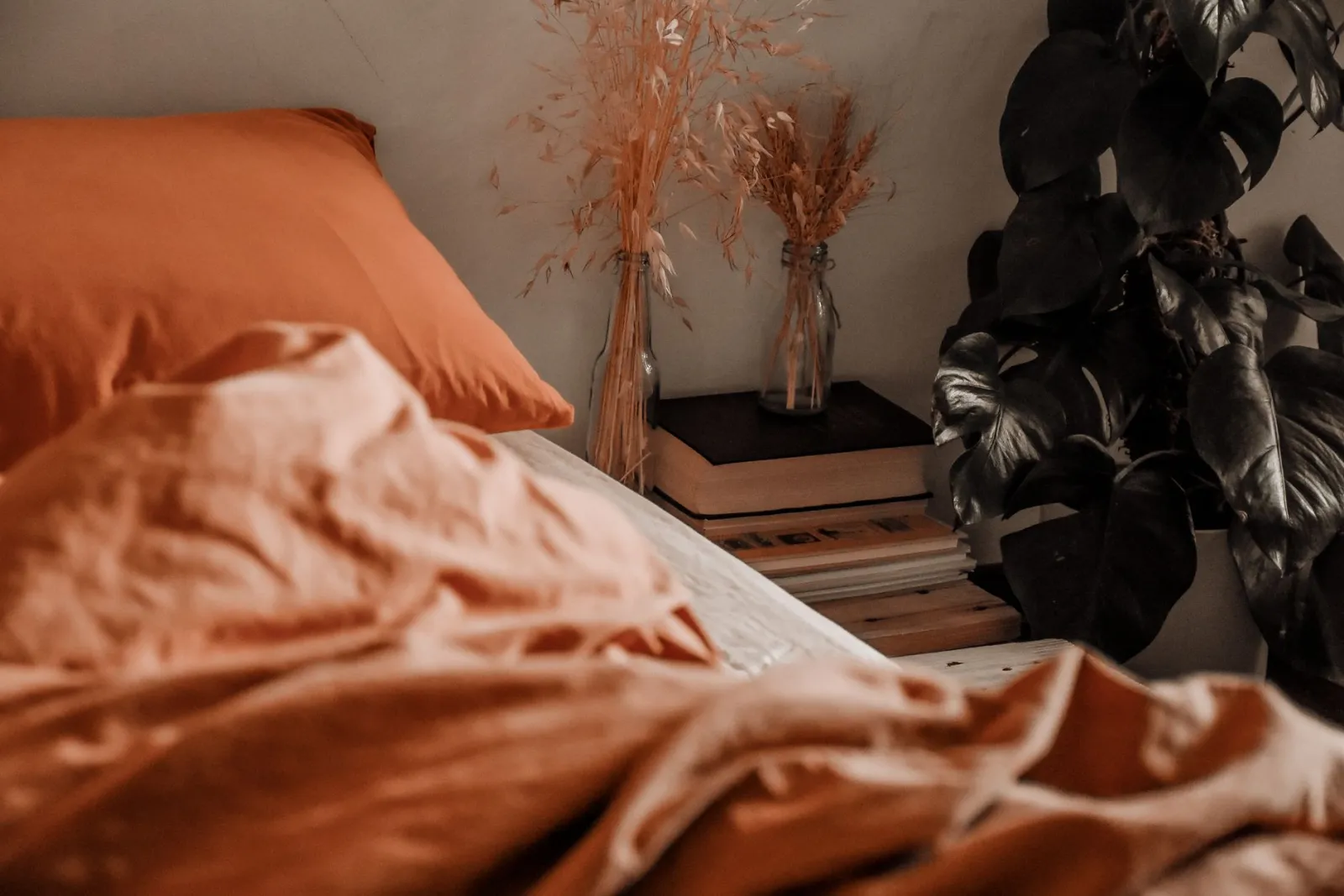 draps en coton