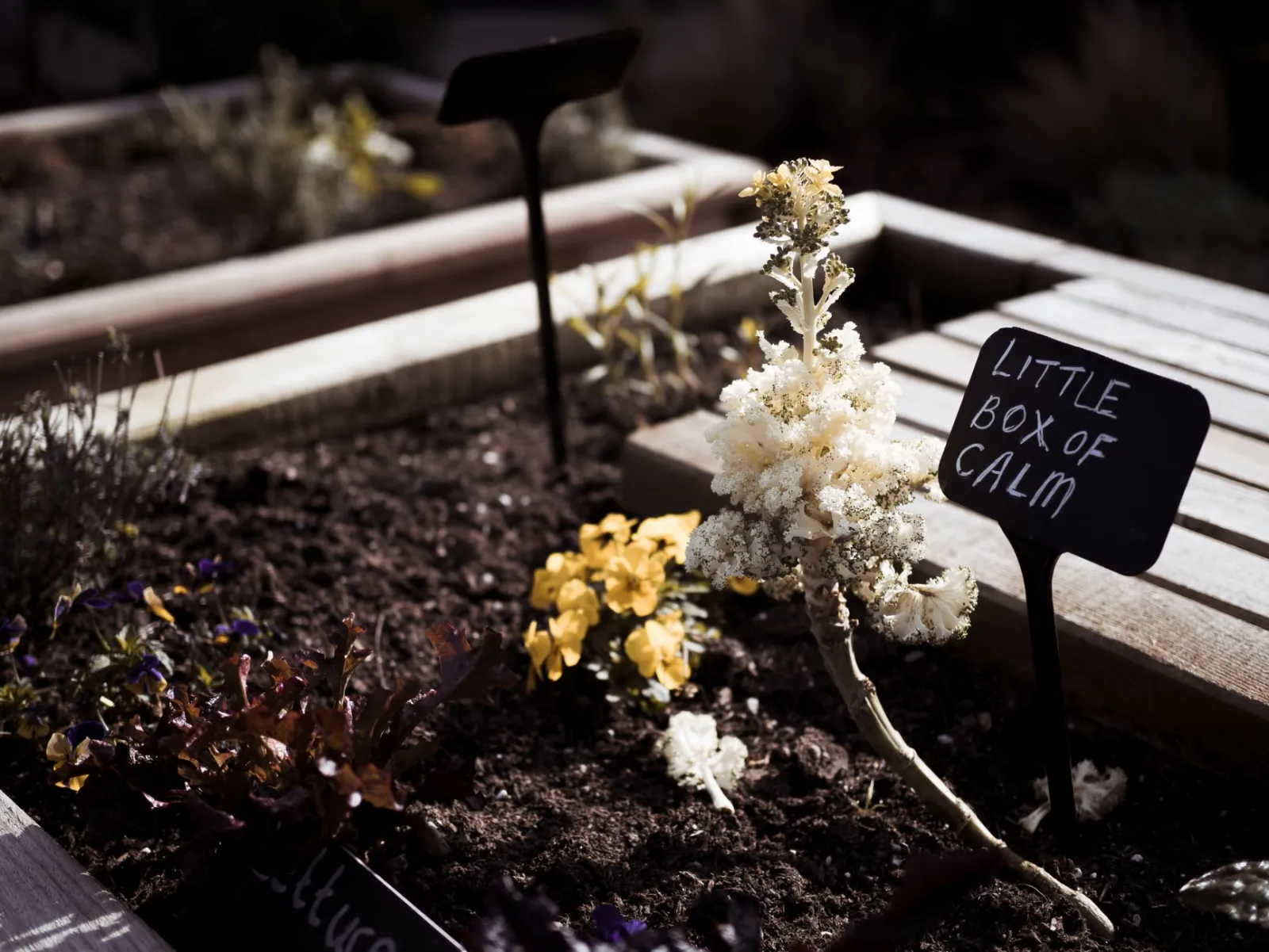 Comment décorer son jardin ?