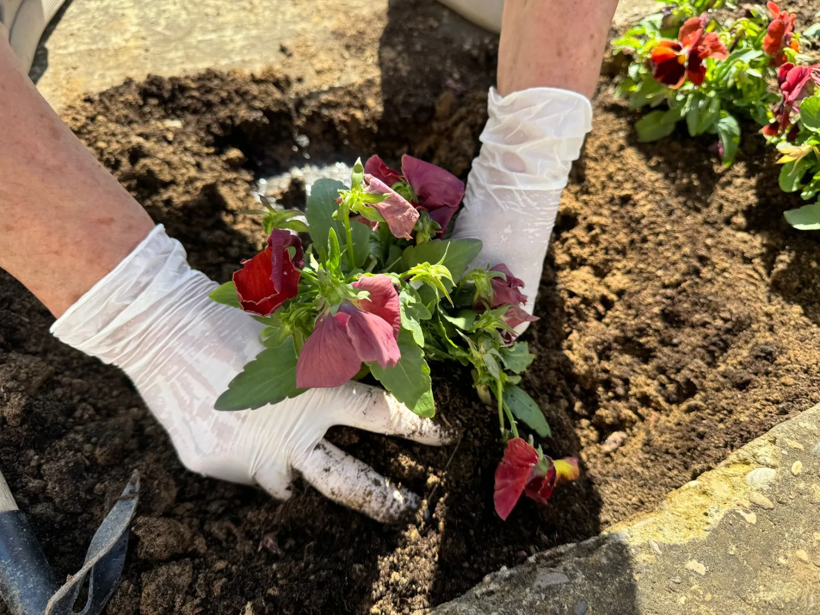 gants de jardinage