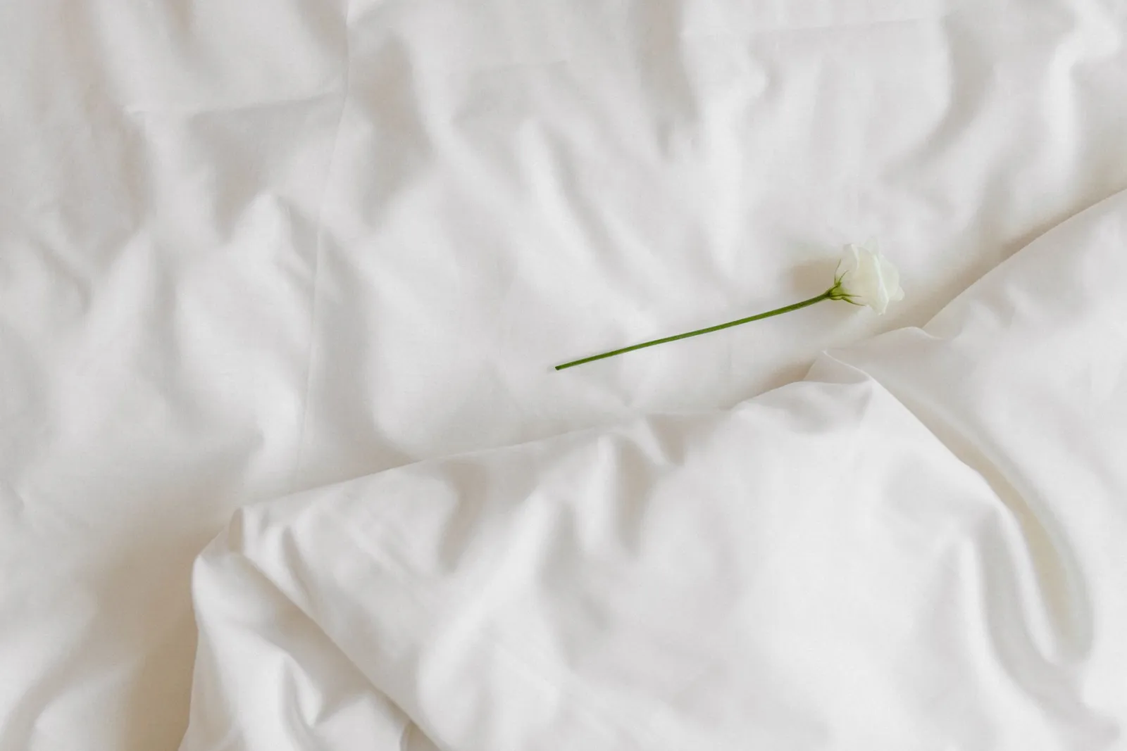 tissu de literie en bambou