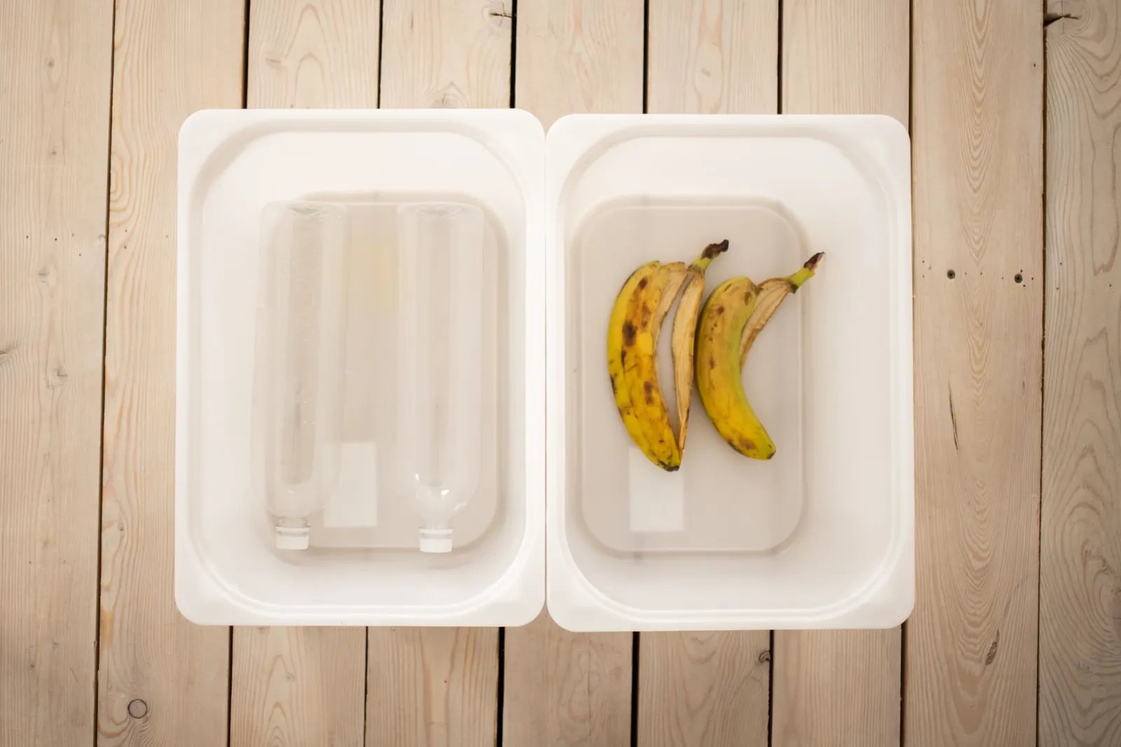 Comment installer un lombricomposteur en appartement ?