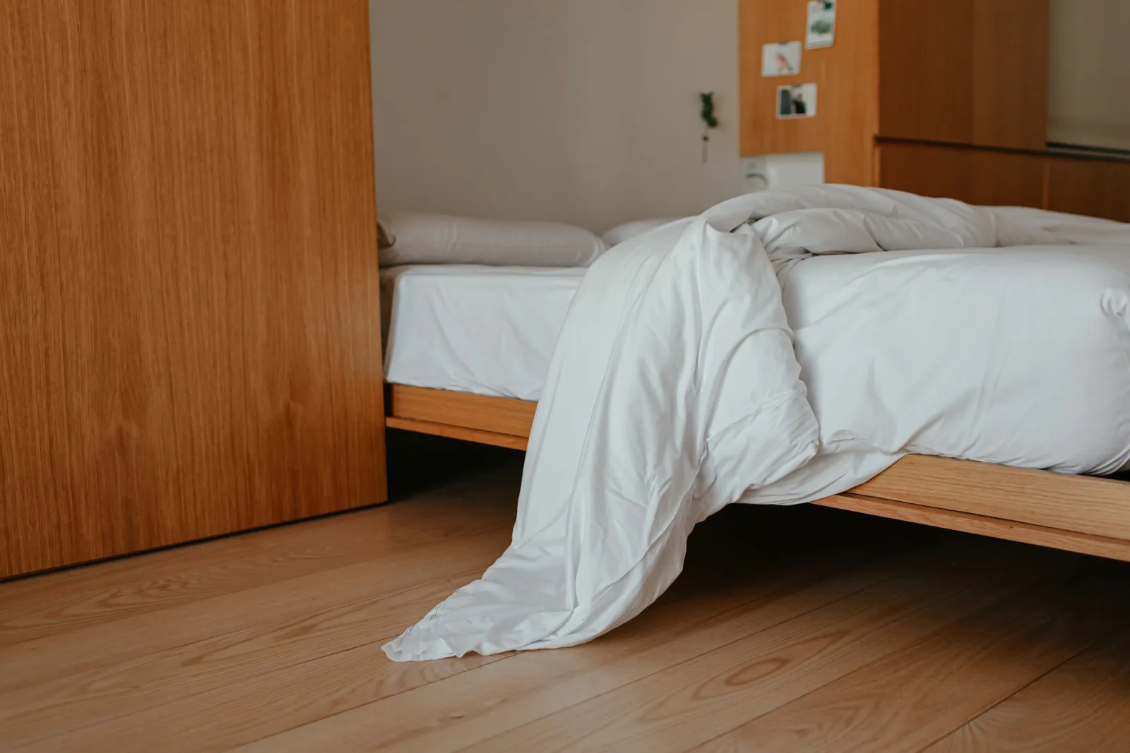 gros plan sur la couette