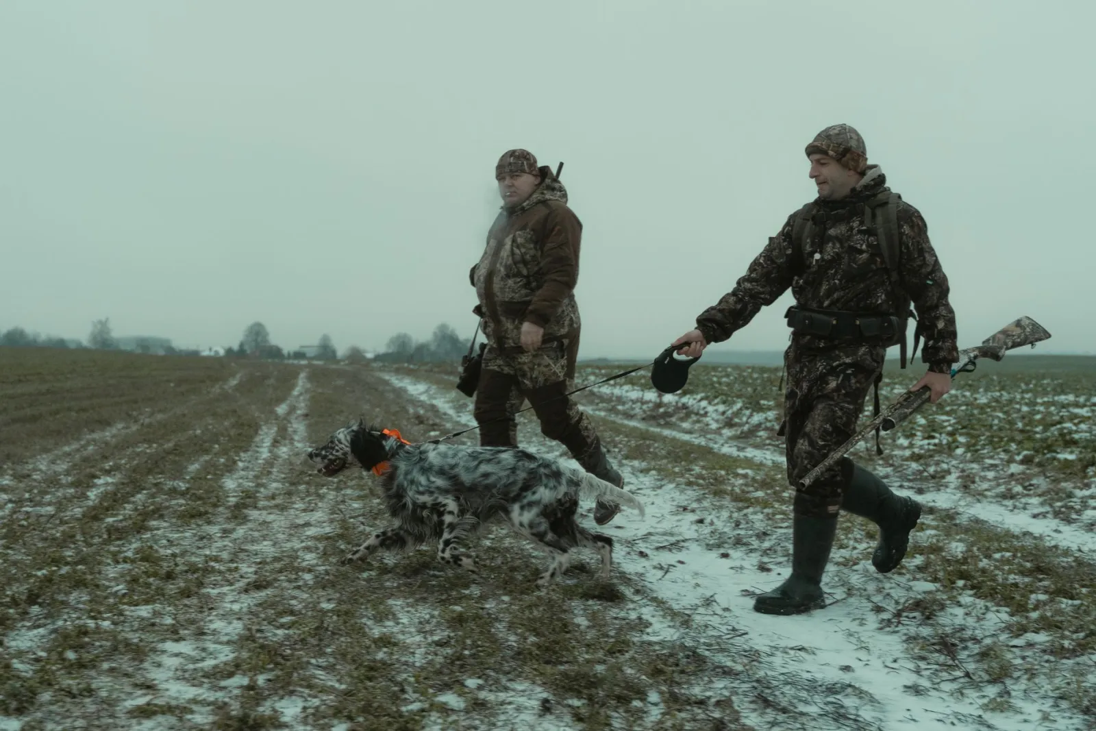 races de chiens de chasse
