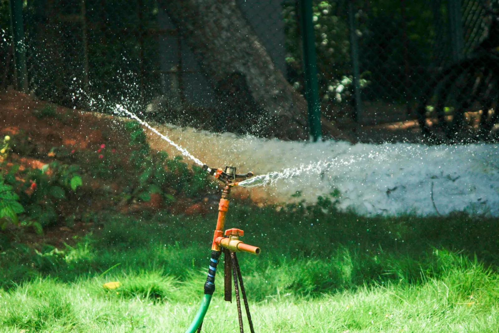 jardin d'irrigation goutte à goutte